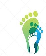 Podiatry Centers for Podiatry in East Newport, ME